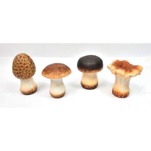 Lot champignons terre - lot, 4