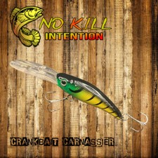 Leurre Dur Crankbait