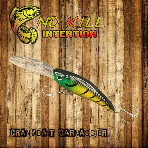 Leurre dur crankbait - leurre,