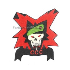 Patch US Post WW2 / Vietnam