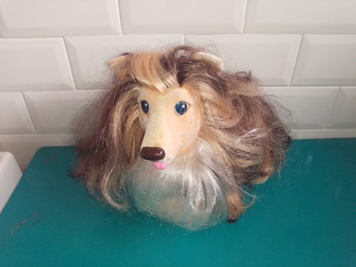 1712234 sweetie pups collie - 1712234,