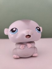 Petshop souris hamster - souris,