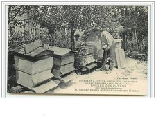 SAINT-DIDIER-LA-SEAUVE Rucher