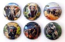 News -Série de 6 Capsules de