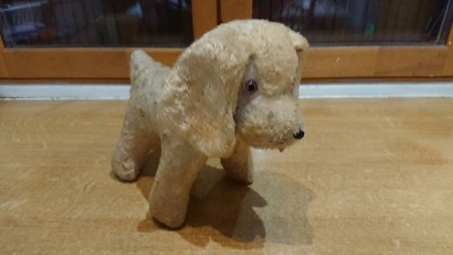 Chien peluche velours - en,