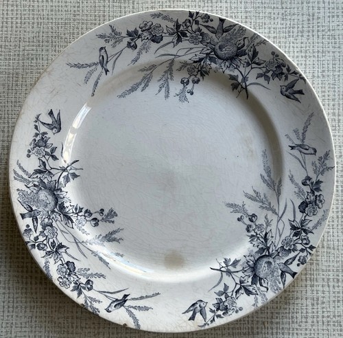 Assiette plate cm 1900 - cm,
