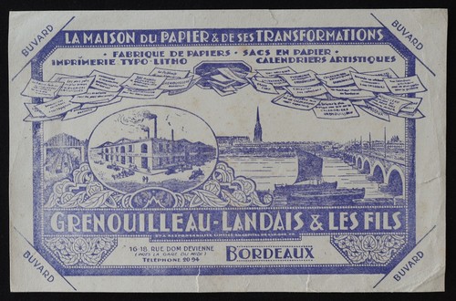Buvard grenouilleau nadias - grenouilleau,