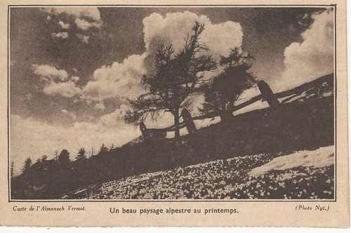 Cartes postales anciennes - cartes,