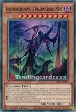 Yu-Gi-Oh! Vouivrenterrement, le Dragon Croque-Mort : C MP25-FR369