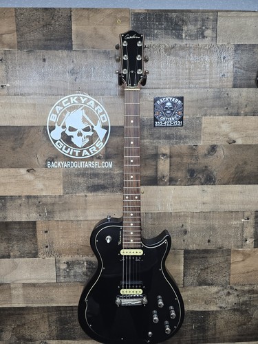 Godin radiator electric guitar - radiator,