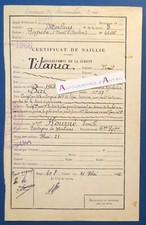 ● PAU 1966 Certificat de