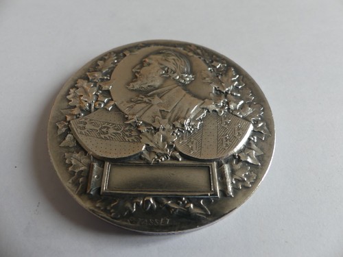 Medaille bronze argente - bronze,