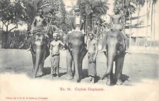 CPA CEYLON / CEYLON ELEPHANTS
