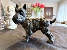 Ancien chien Scottish Terrier