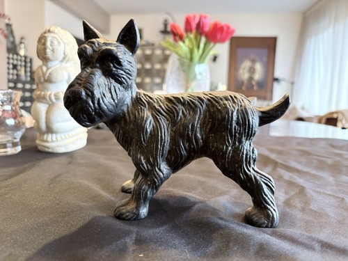 Ancien chien scottish terrier - scottish,