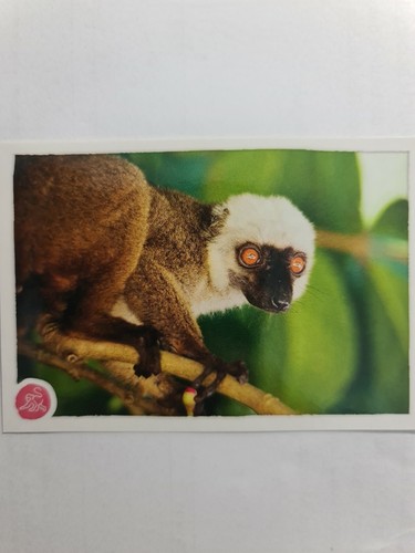 Image sticker autocollant