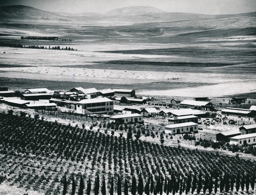 Palestine 1950 - c.,