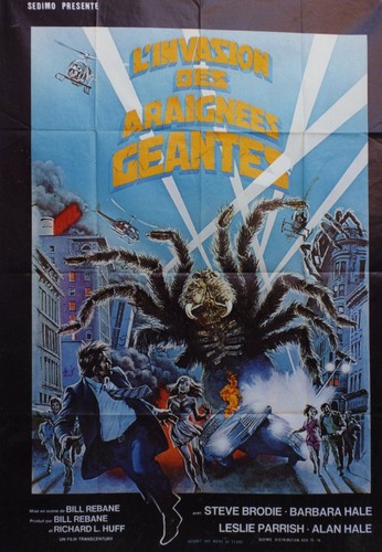 Invasion des araignées - "l'invasion,