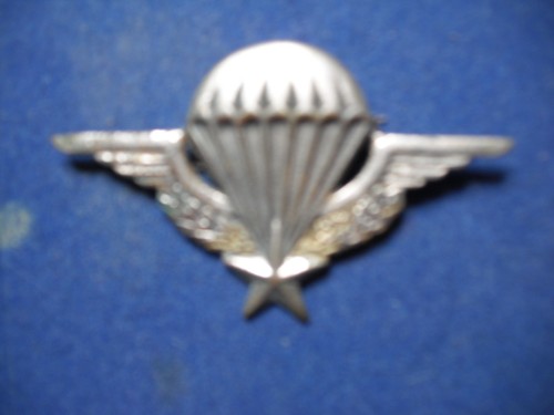 Insigne brevet parachutiste - insigne,