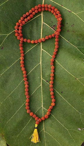 Très petites rares perles - très,
