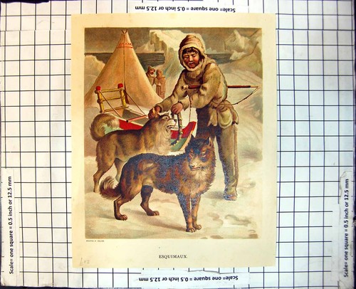 Old esquimaux eskimo innuit - eskimo,