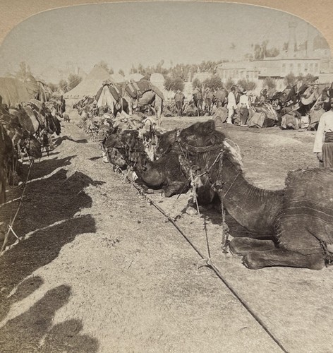 Syrie damas camp caravanes - damas,