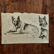 Dessin Ancien Animalier Fond