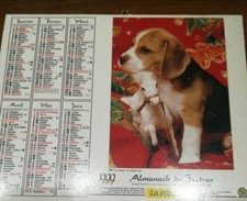 calendrier PTT , almanach du facteur poste 1999 chien chiot BEAGLE chat chaton 