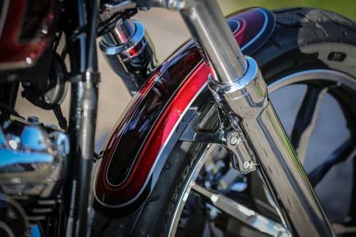 Harley davidson softail rue - m8,