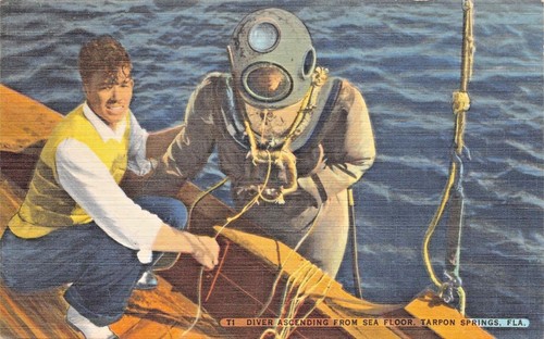 Tarpon ressorts floride - tarpon,