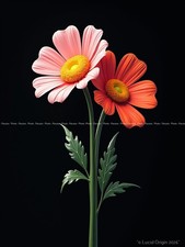 Photo A4 Floral Kawaii Moderne