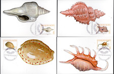 804/7 -  POLYNESIE  4 CARTES   1er JOUR    COQUILLAGES