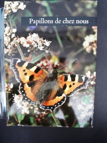 Papillons - chez,