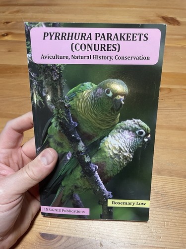 Pyrrhura parakeets conure - pyrrhura,