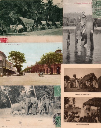 Inde ceylan sri - sri, lanka