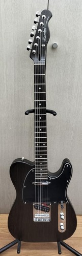 Guitare électrique bacchus - guitare,