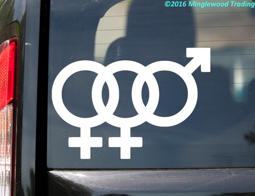 Bisexual symbol vinyl - vinyl, sticker