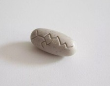 PLAYMOBIL DINOSAURES - Petit