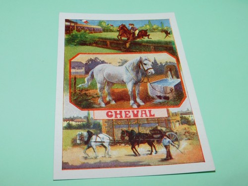Image ancienne scolaire - scolaire, bon