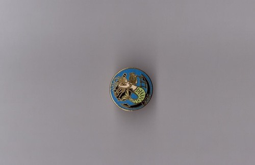 Pin armée marine - armée,