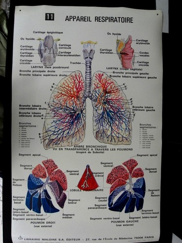 Medecine planche - de),
