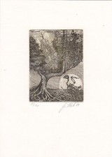 Exlibris Livre D'Art Radierung