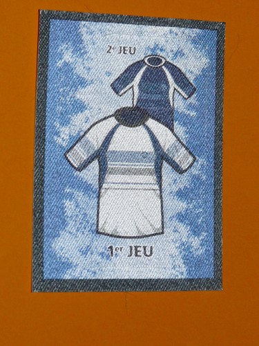 144 castres olympique panini - #144,