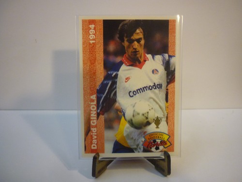 Carte foot panini official - panini,