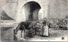 23 Scene du centre - vache a