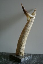 Décoration, corne - oiseau