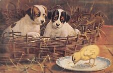 CPA FANTAISIE / REPRESENTANT 2 CHIENS ET UN POUSSIN