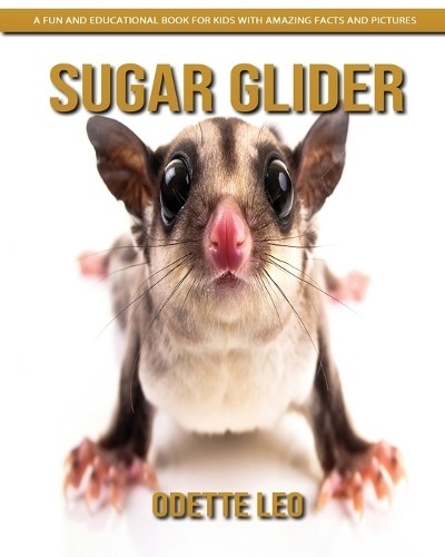 Odette leo sugar glider - sugar,