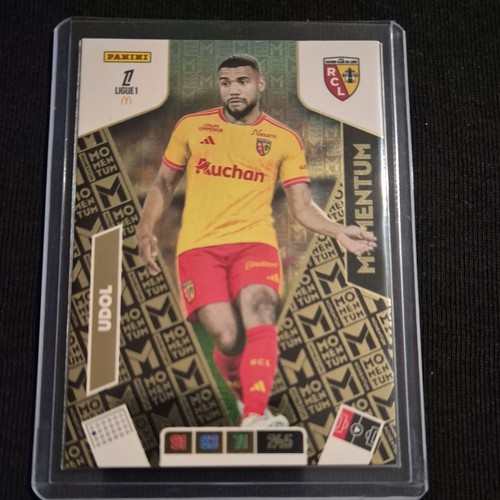 Carte panini adrenalyn - ,