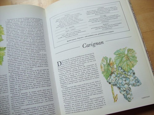 Livre des cepages robinson - livre,